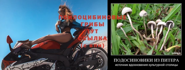прущая мука Абинск